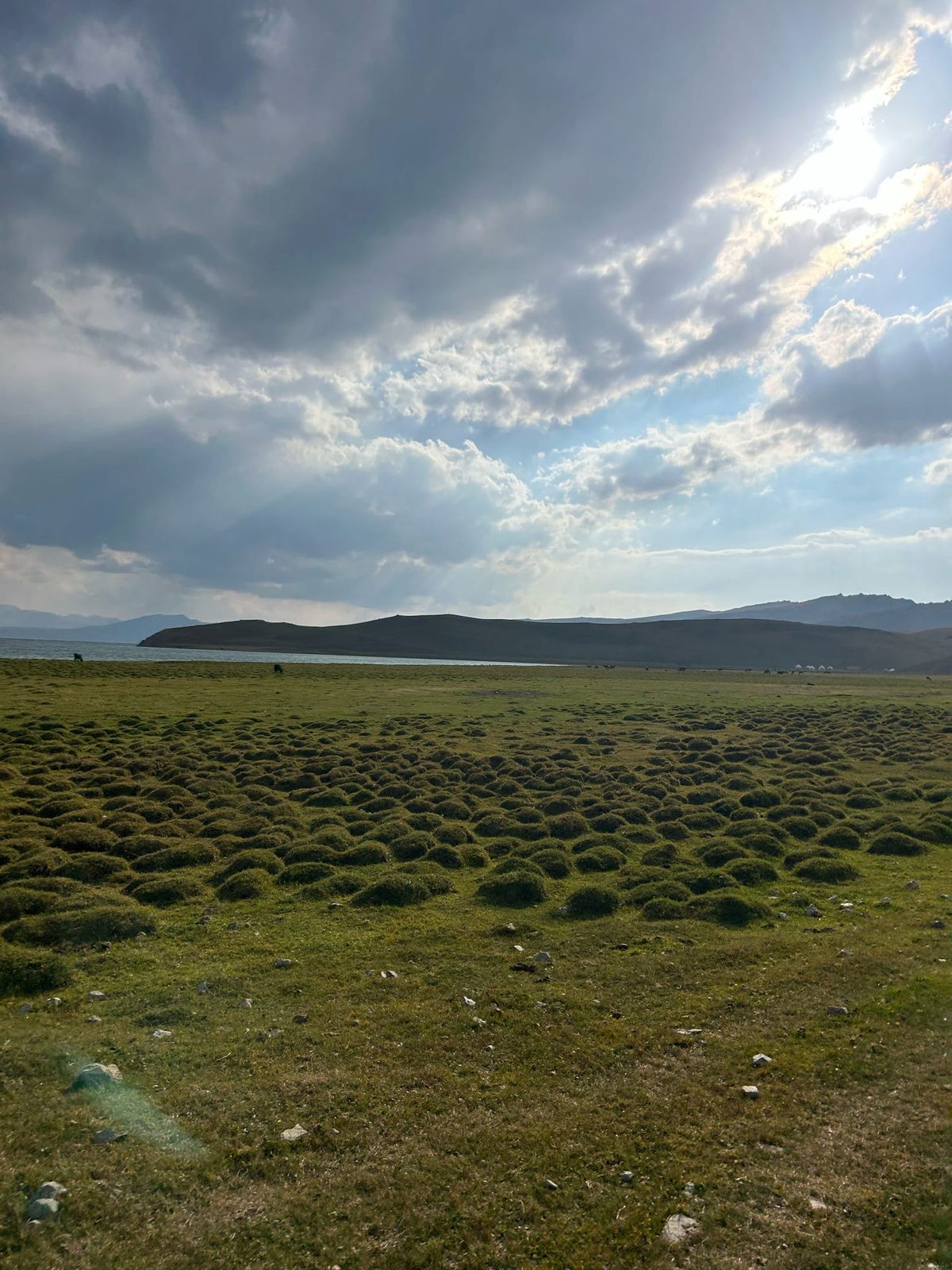 Сон-Куль